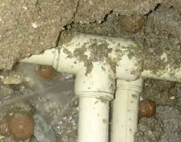 夷陵测漏水多少钱