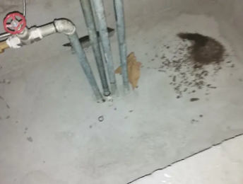 夷陵卫生间测漏水价格明细