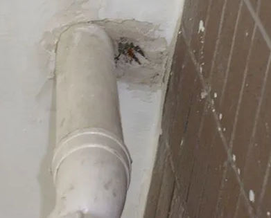 夷陵漏水检测哪家好